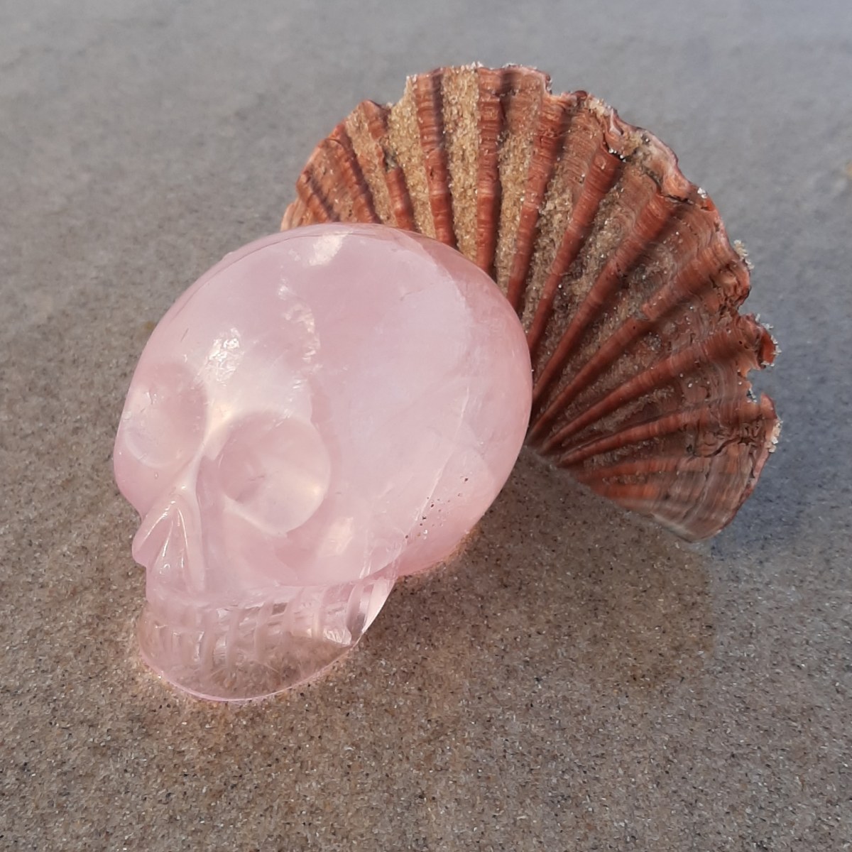 Rose Quartz Crystal Skull - Heart of the Bay - Byron Bay Crystals