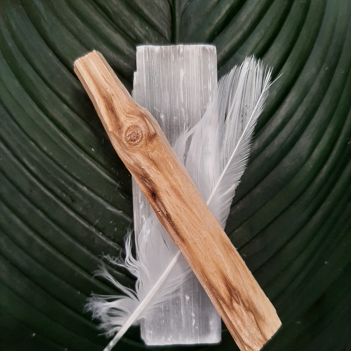 Feather Selenite San Palo Selenite incense Smudge Sticks Crystals High Vibes - Heart of the Bay Byron Bay Crystals